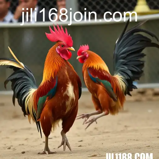 The Impact and Evolution of Online Sabong through JiLi168.COM